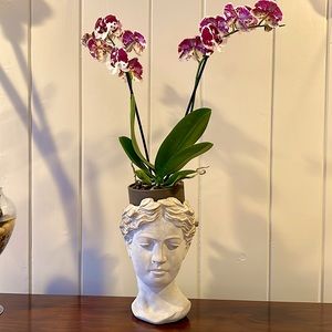 Meet your Posher, Dana